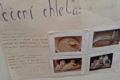 20260123_090727-scaled