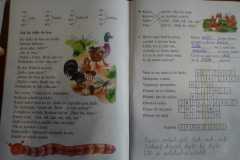 IMG-20200607-WA0005