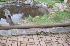 20241003_090711